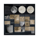 Celestron Moon Map