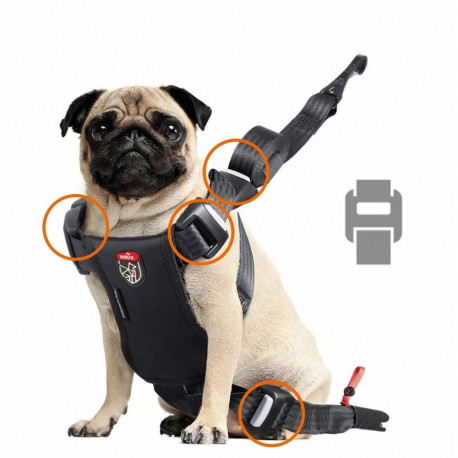 Pet Harness - ZOLUX Travel Safe S, adjustable, neck 30-55 cm, red