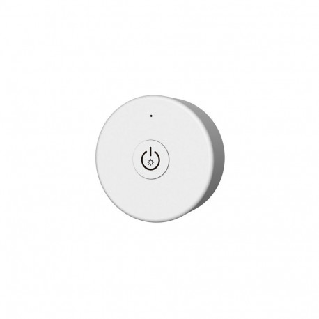 R1-1 Dimming Remote Control, 1 Zone, Magnetic