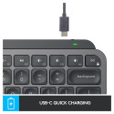 "MXKEYS MINI WRLS ILLUMINATED KB"