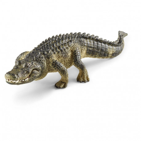 Wild Life Alligator