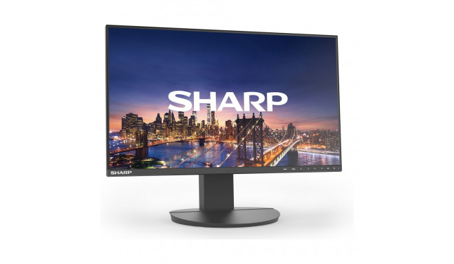 NEC MultiSync DD-EA271F must