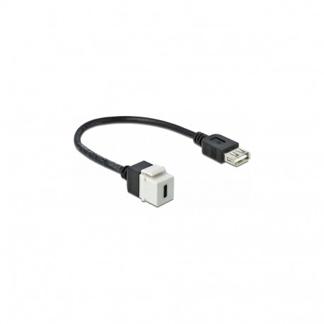 Delock Keystone moodul USB 2.0 C pesa - USB 2.0 A pesa kaabliga