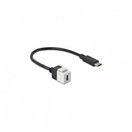 Delock Keystone moodul USB 5 Gbps Type-C™ pesa - USB Type-C™ pistik 25 cm kaabliga