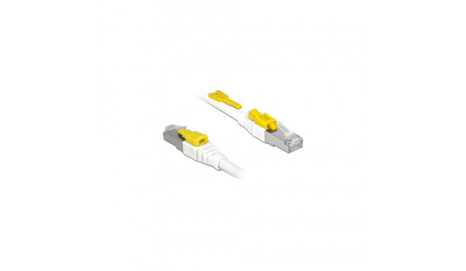 "Delock Kabel RJ45 Secure Cat.6A 3 m"
