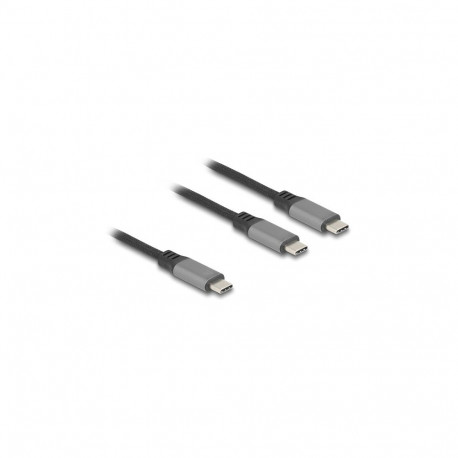 Delock USB-C™ Y-kaabel 1 x pistik kuni 2 x pistikut PD 3.0 100 W intelligentne toitejaotus 1,2 m