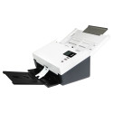 "Avision Dokumentenscanner AD345GN A4"
