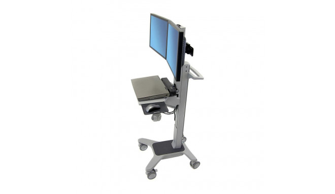 Ergotron Neo-Flex Dual WideView