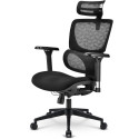 Sharkoon office chair OfficePal C40 (black)