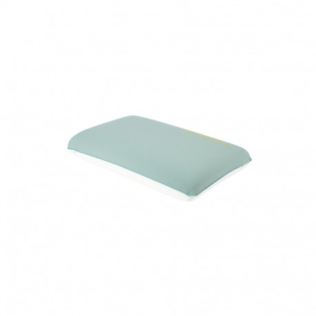 PILLOW EUCALYPTUS 40D 60X40X12CM