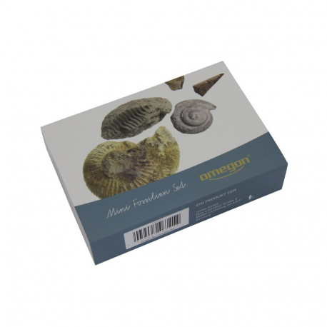 Kivististe komplekt, Omegon