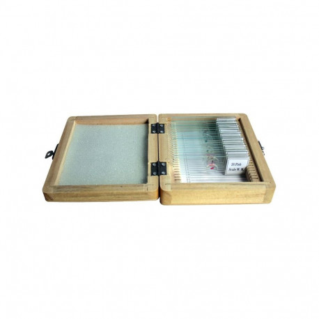 Prepared slide set, 20 slides in a wooden box, Omegon