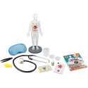 Experiment kit, Buki, Human Body