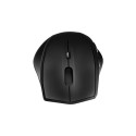 Wireless mouse BT5.0, ergonomic, black