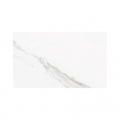 Neptune valge seinaplaat 33.3x55 (1.84)