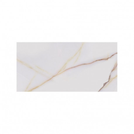 Icon retifitseeritud keraamiline plaat 60x120 (1.44)