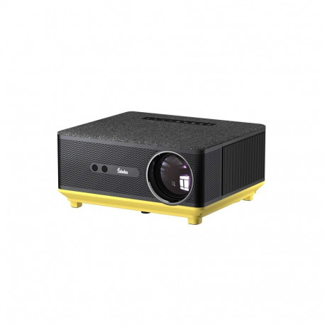 PROJECTOR ŠILELIS P-5