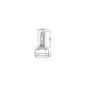D1S Xenarc 35W PK32d-2 1tk