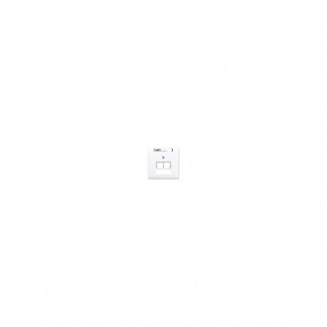 "Jung CD 569-2 NAUA WW Abdeckung für zwei IAE/UAE-Dosen"