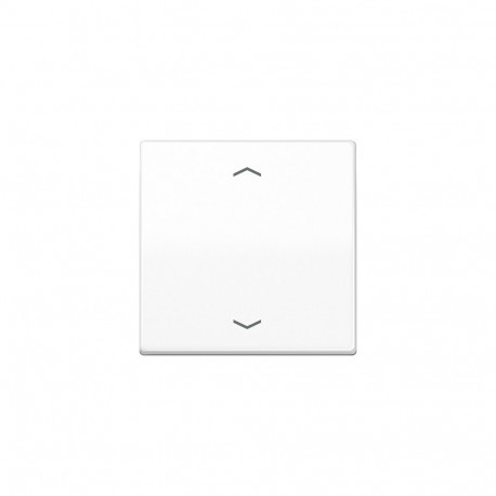 "Jung AS101PWW Wippe f.Tasterpfeile"