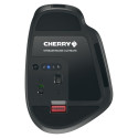 "Cherry 12033075"