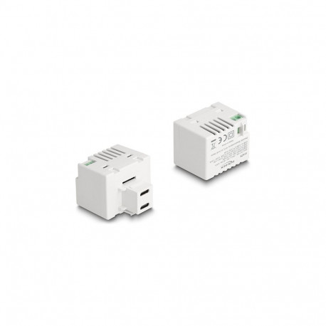 "Delock Keystone Modul mit 2 x USB Type-C™ Ladebuchsen PD 20 W weiß"