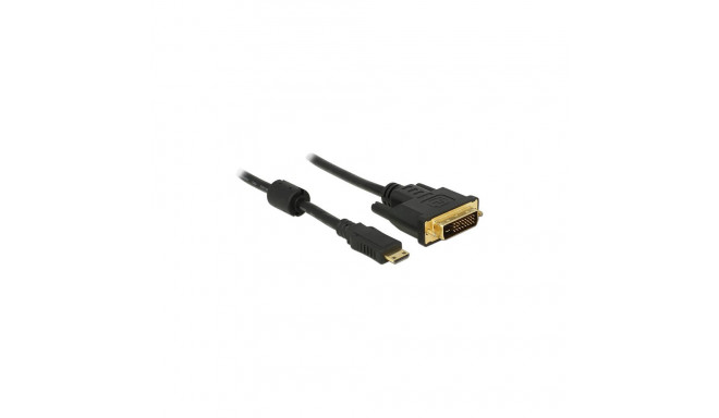 DeLock HDMI mini - DVI kaabel 1m (ST - ST)