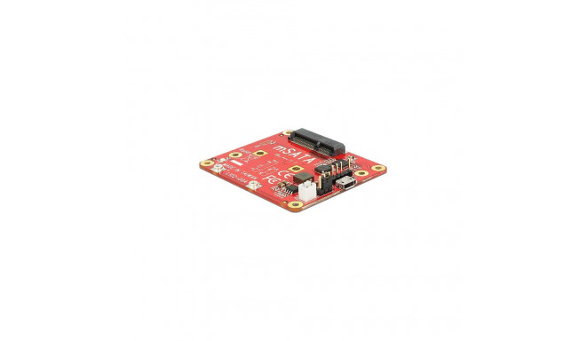 "DELOCK Konverter Raspberry Pi USB 2.0 > mSATA"
