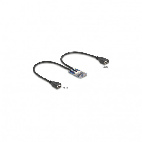 "Delock Mini PCIe Adapter full size zu 2 x USB 2.0 Typ-A Buchse 30 cm"