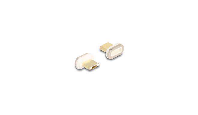 "Delock Magnetischer Adapter USB Typ Micro-B Stecker"