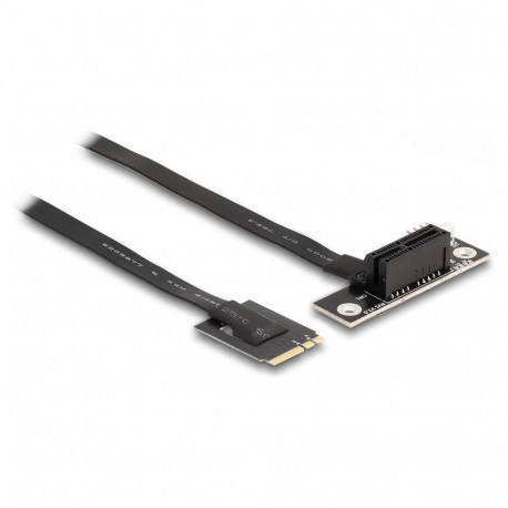 Delock M.2 Key A+E PCIe x1 NVMe nurgaga adapter 20 cm kaabliga