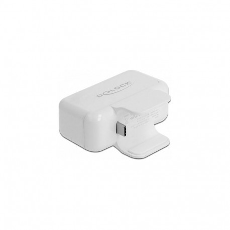 "Delock Adapter für Apple Netzteil mit PD und QC 3.0"