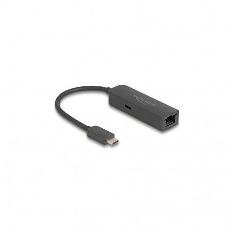 Delock USB Type-C 2,5 Gigabit LAN adapter 100 Watt Power Deliveryga