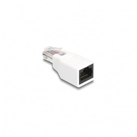"Delock RJ50 Adapter Stecker zu Buchse weiß"