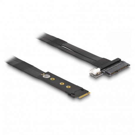 Delock M.2 Key M - U.2 SFF-8639 NVMe adapter 20 cm kaabliga
