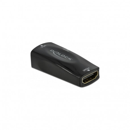 Delock HDMI-A pesa VGA pesa adapter 1080p heliga