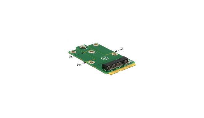 "Delock Adapter miniPCIe > M.2 NGFF"