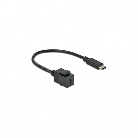 "Delock Keystone Modul USB 5 Gbps Type-C™ Buchse zu USB Type-C™ Stecker mit Kabel 25 cm"