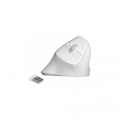 ergonoomiline vertikaalne juhtmevaba USB-hiir