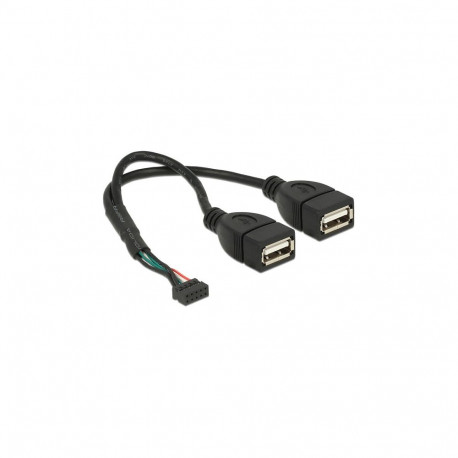 "Delock Kabel USB 2.0 Pfostenbuchse 2,00 mm 10 Pin > 2 x USB 2.0 Typ-A Buchse 20 cm"