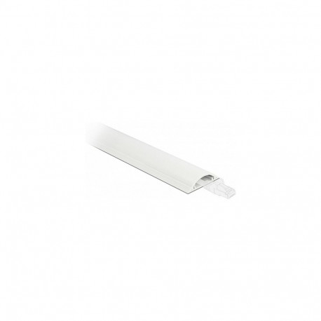 "Delock Kabelkanal selbstklebend 30 x 8 mm - Länge 1 m weiß"