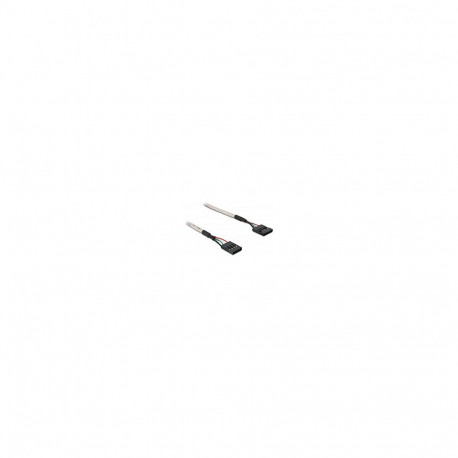 "Delock USB 2.0 Kabel 5 Pin Pfostenbuchse zu 4 Pin Pfostenbuchse 50 cm"