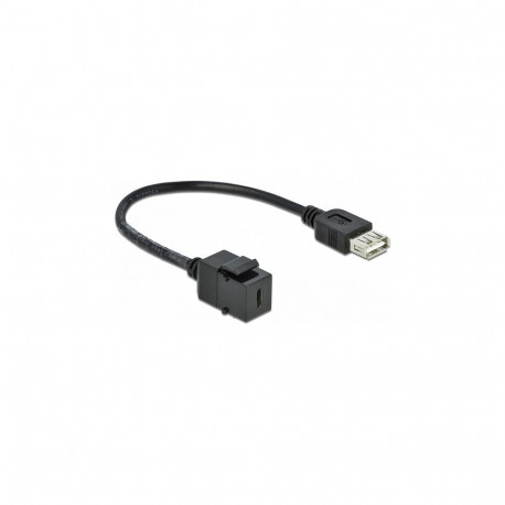 Delock Keystone moodul USB 2.0 C pesa - USB 2.0 A pesa kaabliga