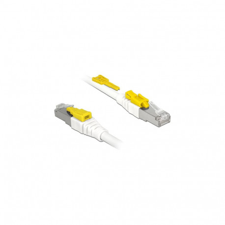 "Delock Kabel RJ45 Secure Cat.6A 1 m"