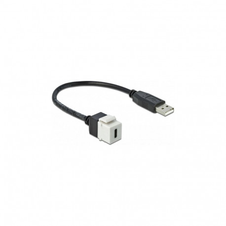 "Delock Keystone Modul USB 2.0 C Buchse > USB 2.0 A Stecker mit Kabel"