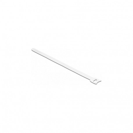 "Delock Klett-Kabelbinder L 250 x B 12 mm weiß 10 Stück"
