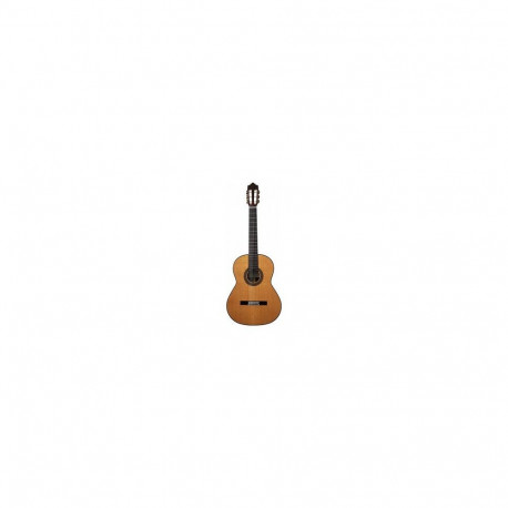 ALTAMIRA CLASSIQUE Ganadora N650 4/4 EN