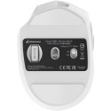 Sharkoon OfficePal M25W (white)