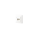 BTR NETCOM 130C381002-I socket-outlet RJ-45 White