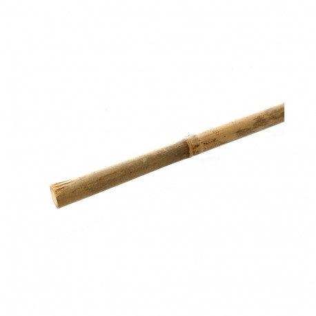 ILLCON bambusest taimetugi 150CM D12/14